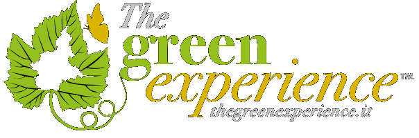 The Green Experience